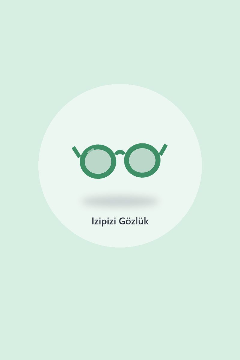 Izipizi Aviator Sunglasses