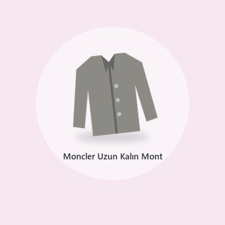 Moncler Down Jacket (3)