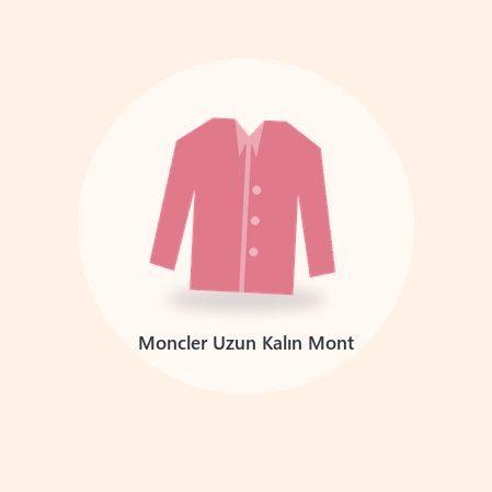 Moncler Down Jacket (4)