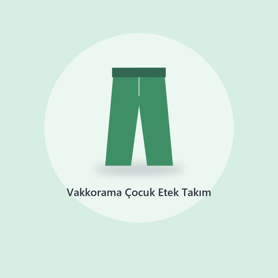 Levi's Bikini Takımı