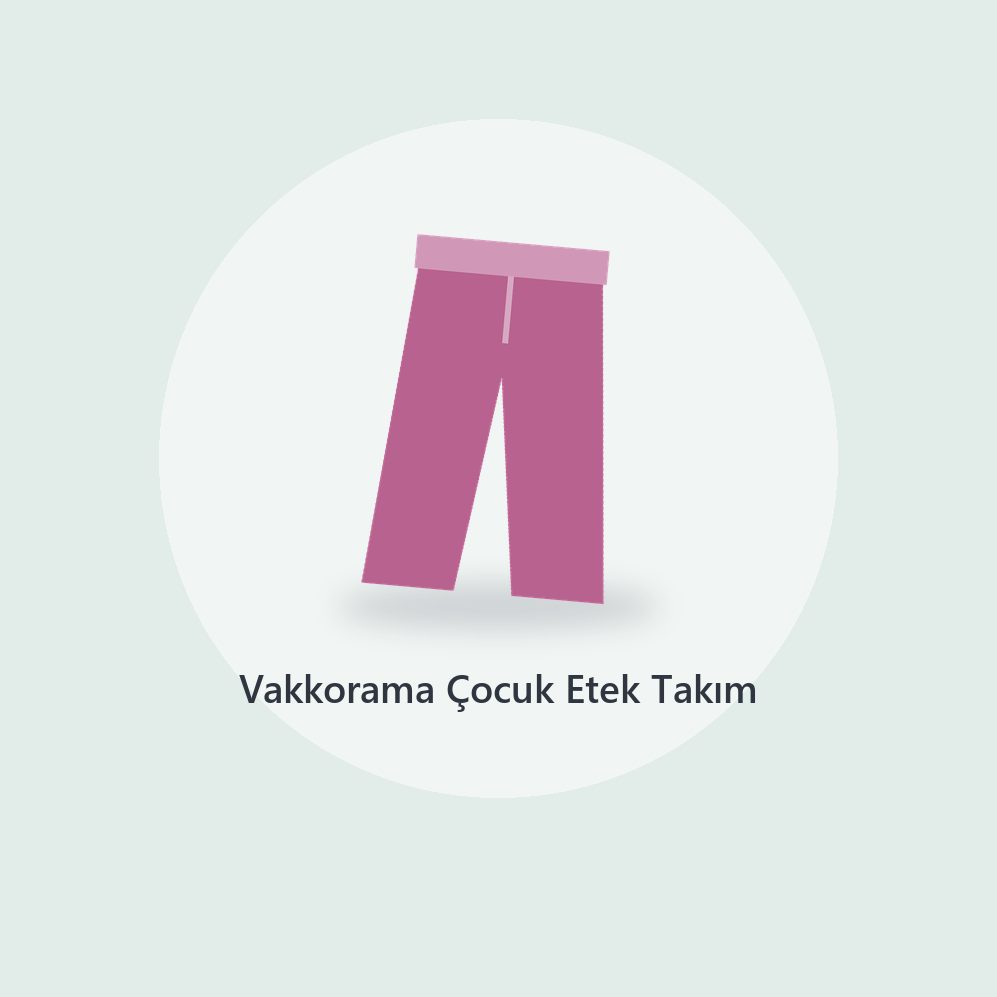 Levi's Bikini Takımı (4)
